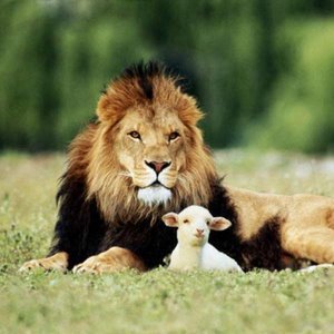 Is it for Real?